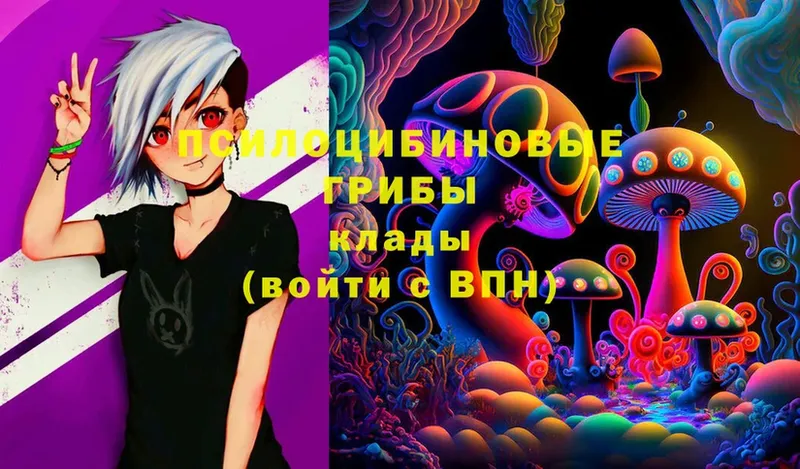 Псилоцибиновые грибы Magic Shrooms  Кораблино 